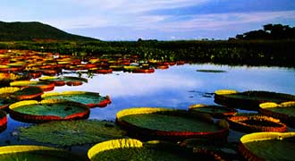 Destinations in Brazil